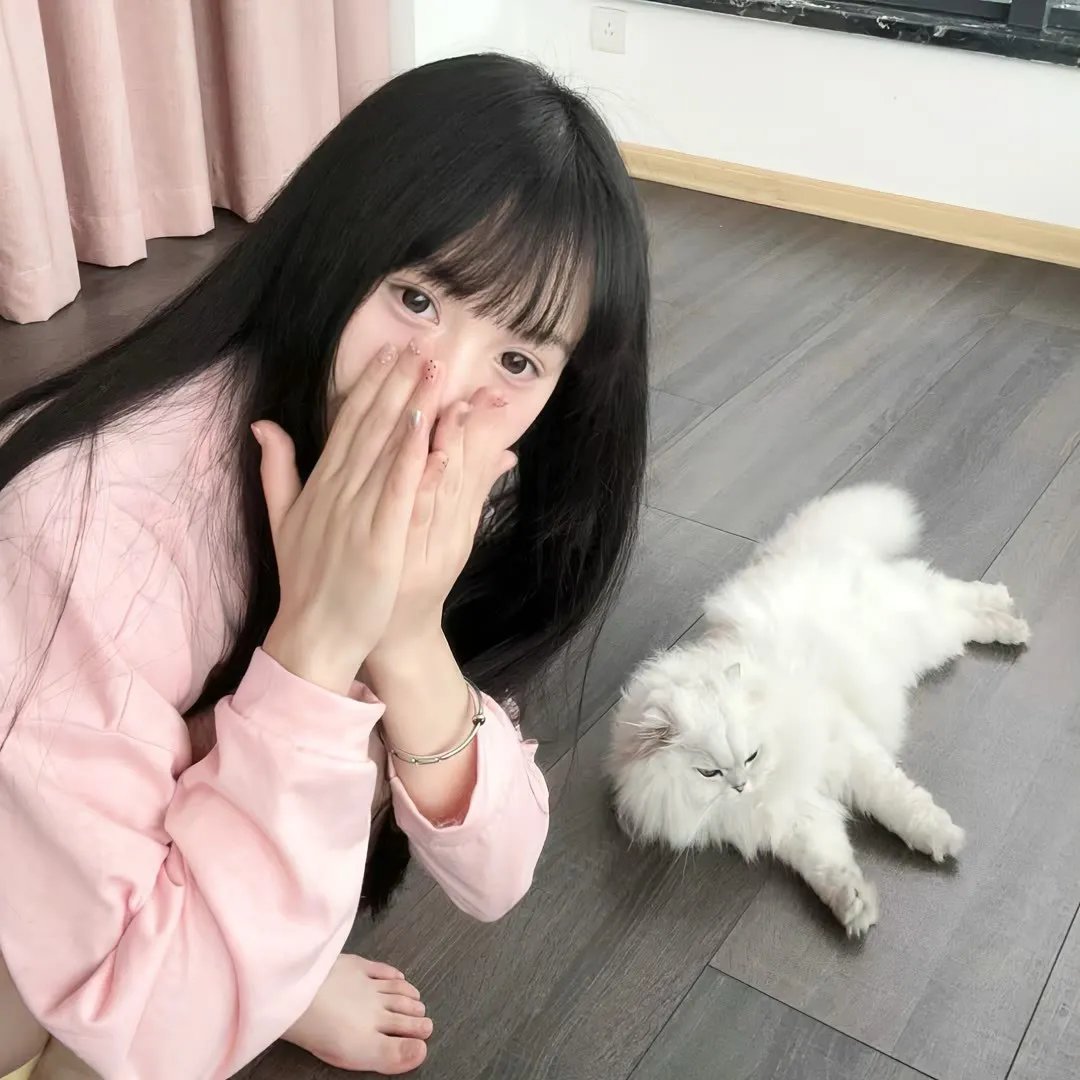 刚果惊魂